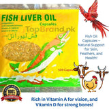 best source of Vitamin D for Birds, Fish Oil Casules