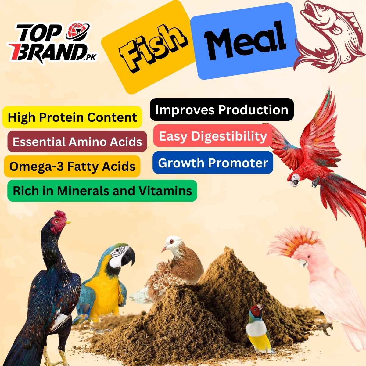 Fish Meal Dry Fish Powder
