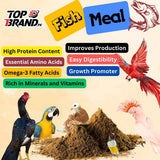 Fish Meal Dry Fish Powder