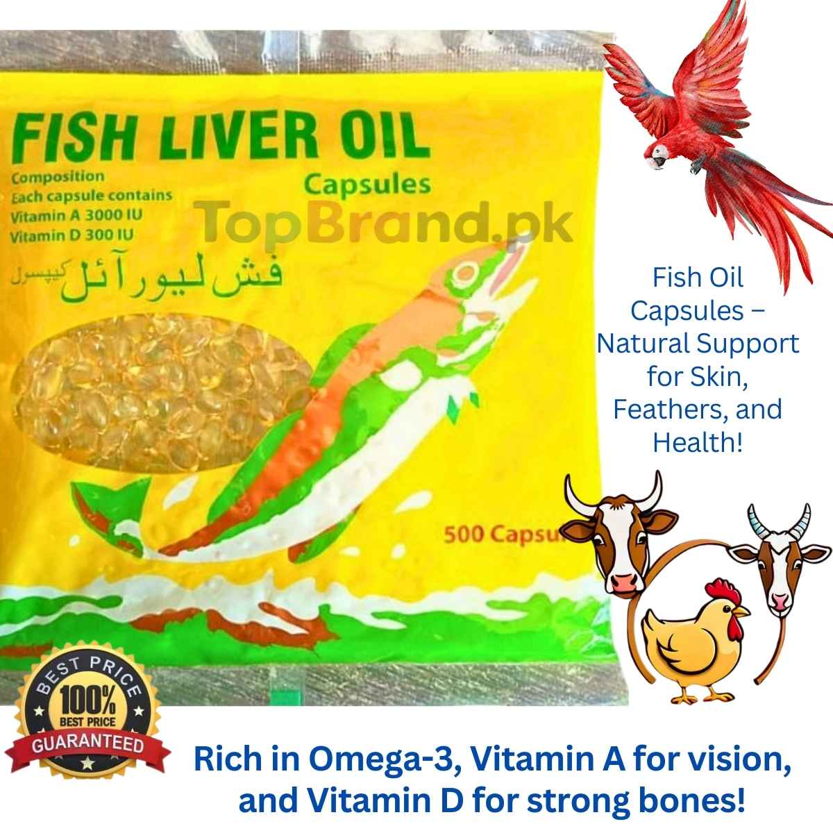 Fish Liver Oil Capsules
Vitamin A and D supplements
Immunity booster capsules
Bone health fish oil
Daily vitamin capsules
Eye health supplements
Fish oil for nutrition
Best fish oil capsules
Vitamin D for strong bones
Natural immunity supplements