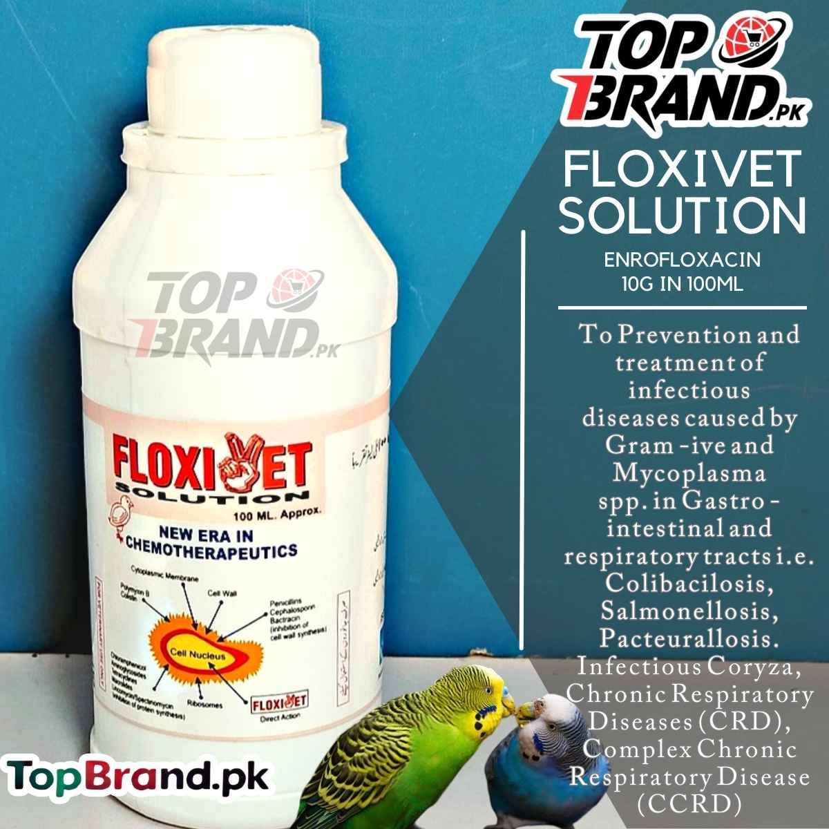 Floxivet (Enrofloxacin) Ultimate Antibacterial Treatment for Livestock & Poultry