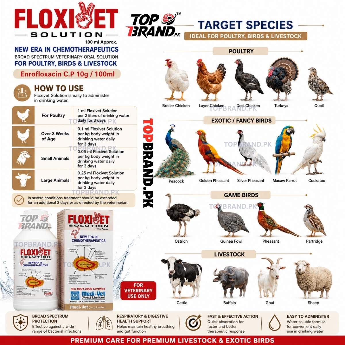 Floxivet Solution 100ml – Enrofloxacin