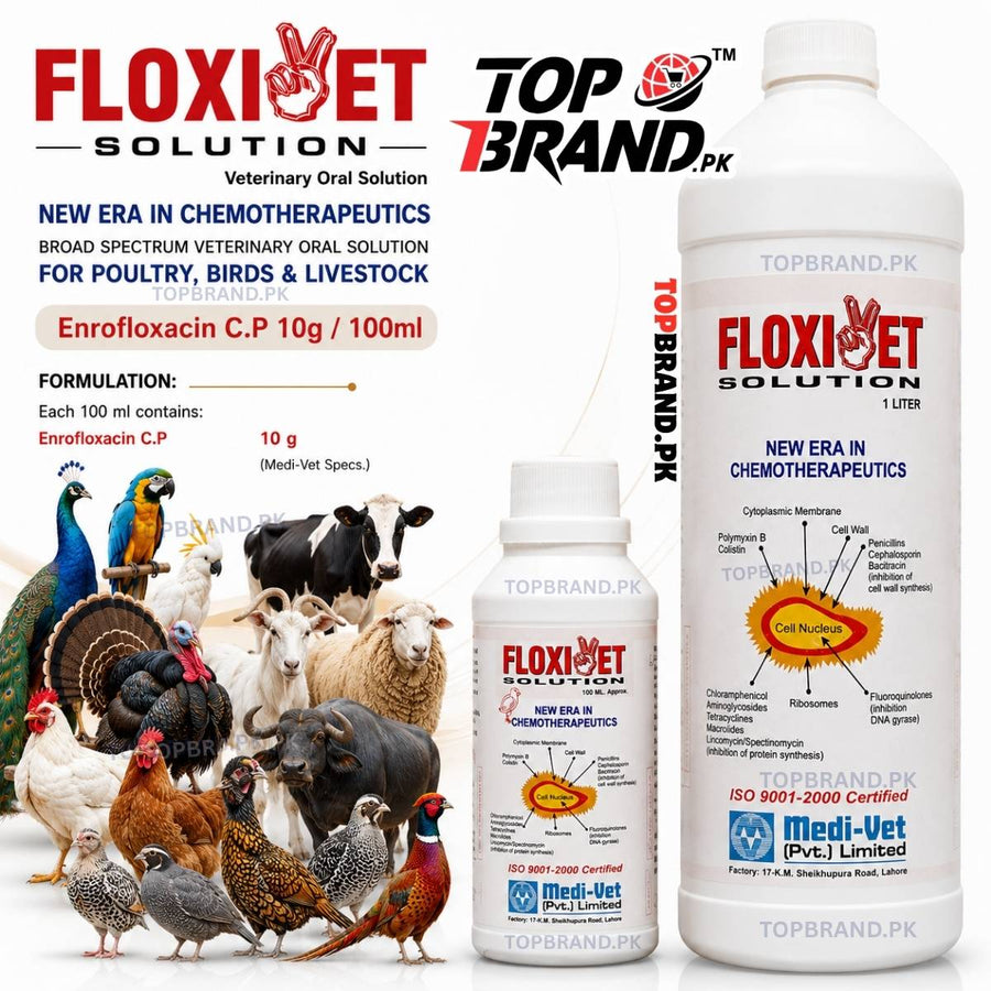 Floxivet Solution 100ml – Enrofloxacin