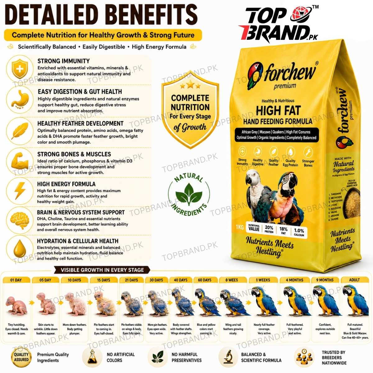 Forchew Hand Feed "HIGH FAT"