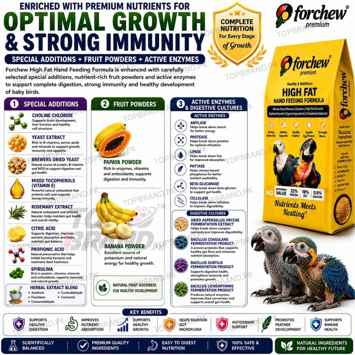 Forchew Hand Feed "HIGH FAT"
