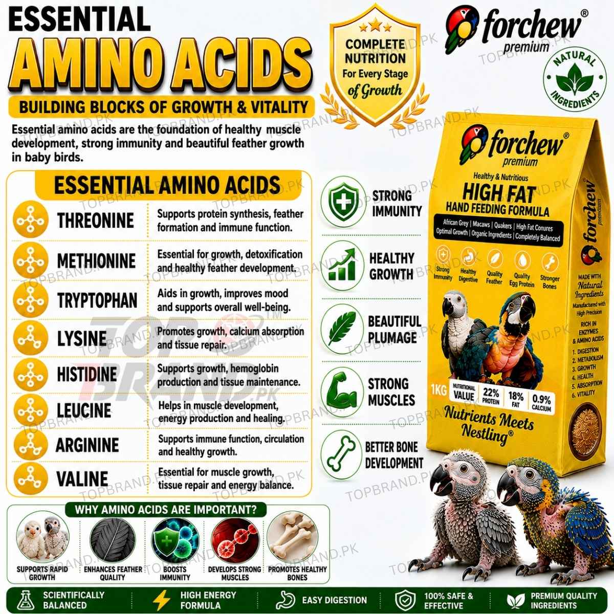 Forchew Hand Feed "HIGH FAT"