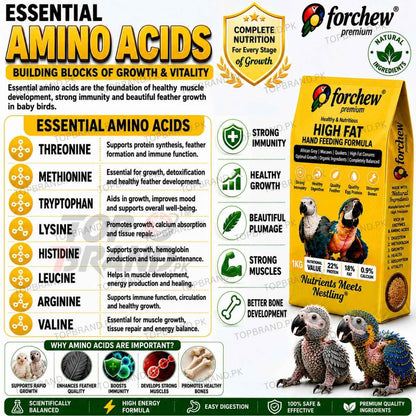 Forchew Hand Feed "HIGH FAT"