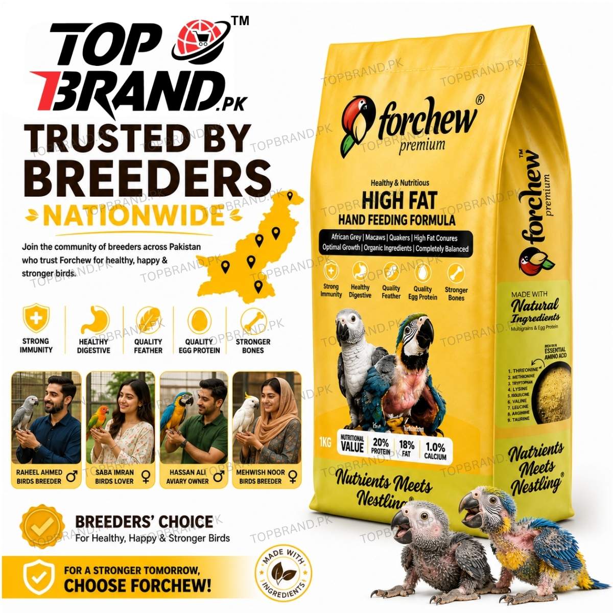 Forchew Hand Feed "HIGH FAT"