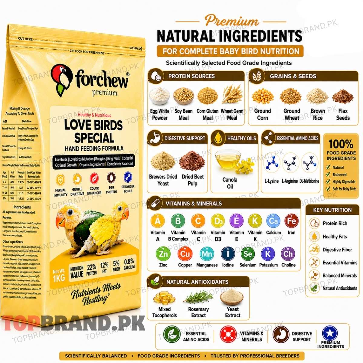 Forchew Lovebirds Special Hand Feeding Formula