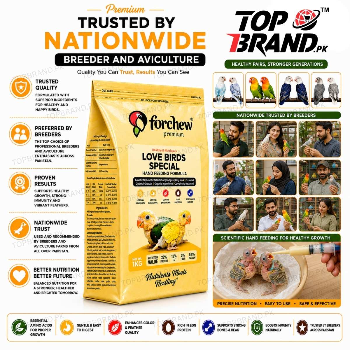 Forchew Lovebirds Special Hand Feeding Formula