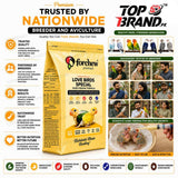 Forchew Lovebirds Special Hand Feeding Formula