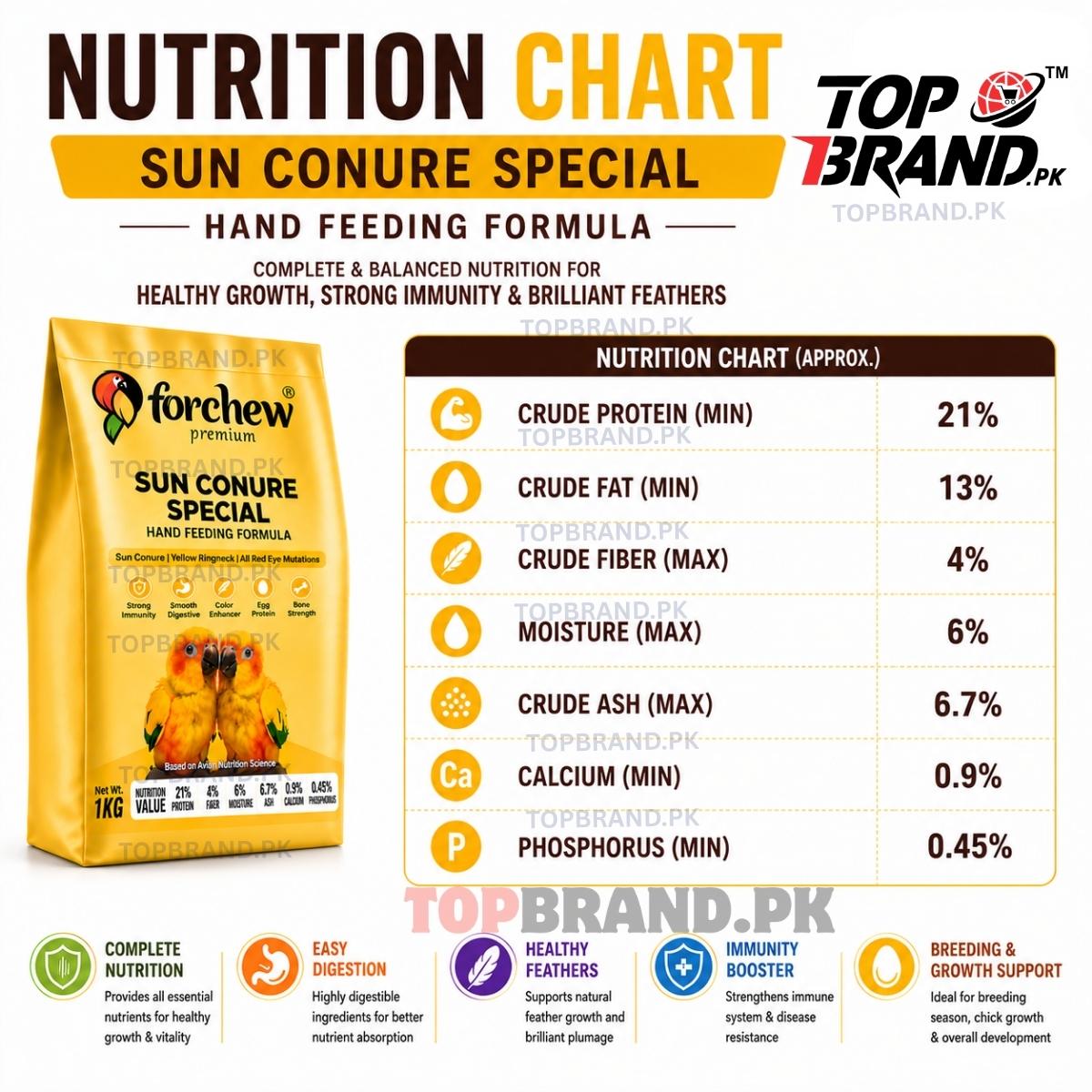 Forchew Sun Conure Special Hand Feeding Formula
