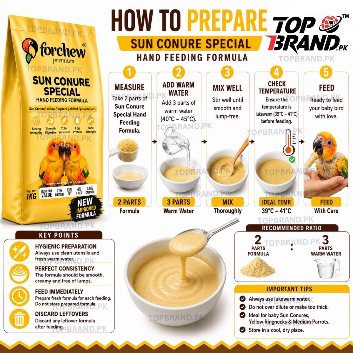 Forchew Sun Conure Special Hand Feeding Formula