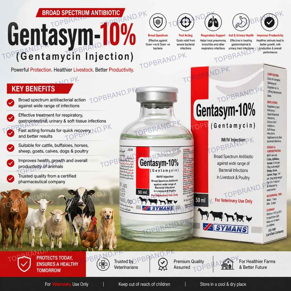 Gentasym- (Gentamycin 10%) 50ml