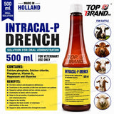 Intracal-P Drench 500 ml | Holland Made