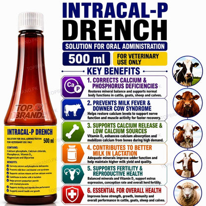 Intracal-P Drench 500 ml | Holland Made