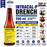 Intracal-P Drench 500 ml | Holland Made