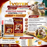Ivotek Ivermectin Drench 100ml