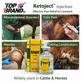 Ketoject (Ketoprofen 10%)