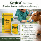 Ketoject (Ketoprofen 10%)
