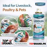 Ledogen Spray, fungal treatment for birds  fungal treatment for animals fungal treatment for cattle,  fungal treatment for livestock fungal reatment for goats fungal treatment for sheep fungal treatment for rabbits Wounds treatment Treatments spray for birds Wounds treatment Treatments spray for Animals Wounds treatment  reatments spray for Cows  Wounds treatment Treatments spray for cats Wounds treatment Treatments spray for Dogs  Wounds treatment Treatments spray for rabbits  Wounds treatment Treat  