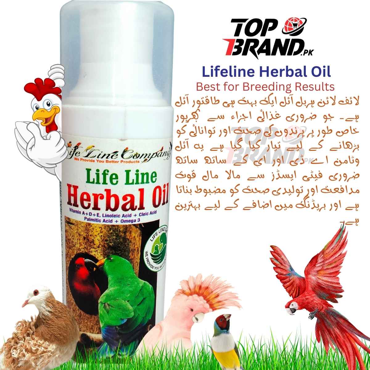 Life Line Herbal Oil (Breeding Oil)
