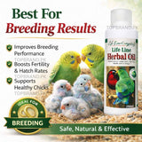 Life Line Herbal Oil (Breeding Oil)