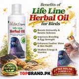 Life Line Herbal Oil for Pigeons