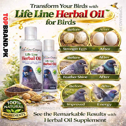 Life Line Herbal Oil for Pigeons