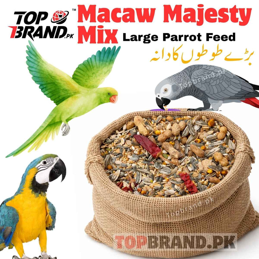 بڑے طوطے کی خوراک، جیسے میکاؤ کی خوراک، سبز طوطے کی خوراک، افریقن گرے کی خوراک