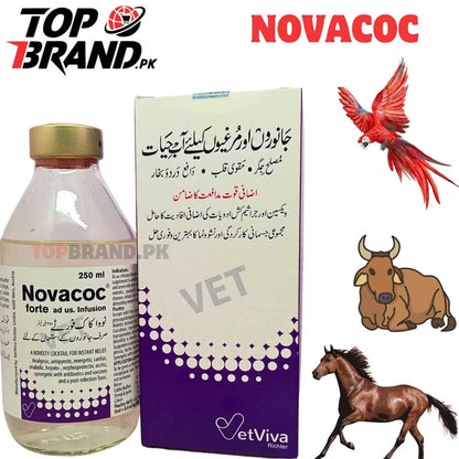 NOVA COC FORTE  Caffeine, Sodium Salicylate, Novaminsulfon, Nicotinamide, Calcium Gluconate, Magnesium Gluconate, Boric Acid, Sorbitol, Sodium Alpha- Oxybenzylphosphinic Acid,  Methyl Parahydroxybenzoate, Aqua for Injection
