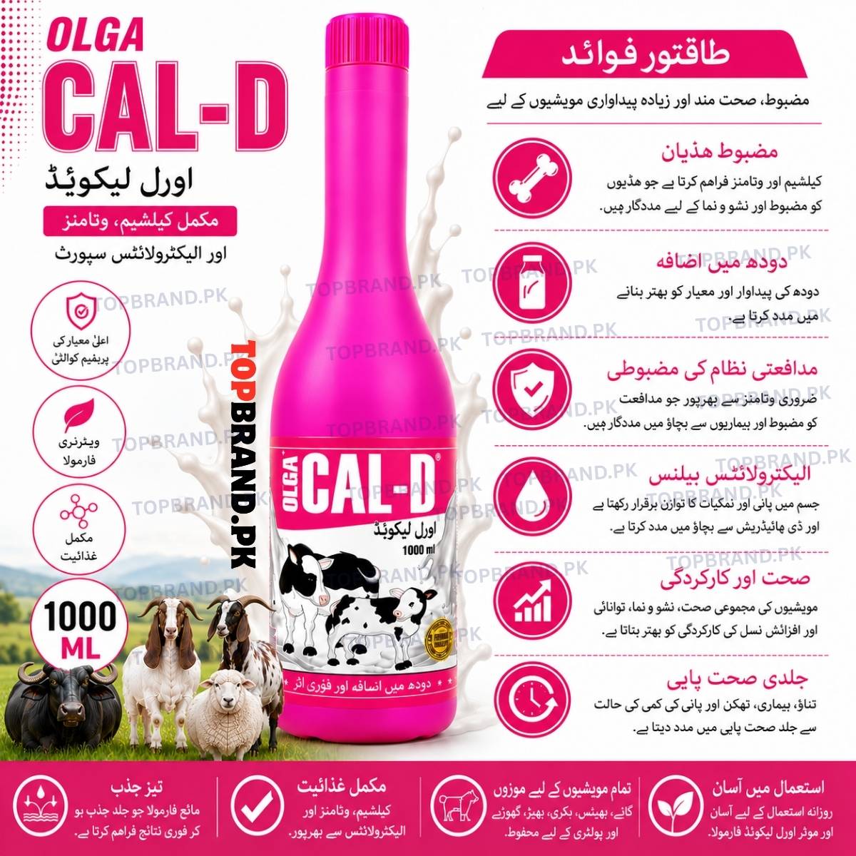 OLGA CAL-D 1Ltr