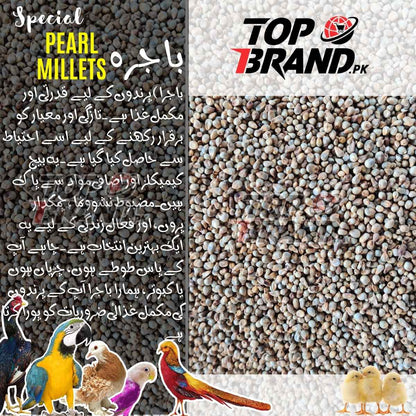 High-Quality Pearl Millet Seeds (Bajra)