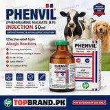 Phenvil Injection 50ml