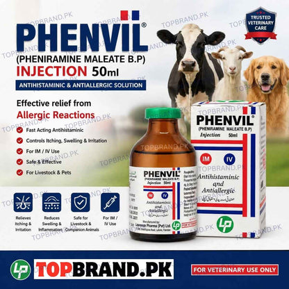 Phenvil Injection 50ml