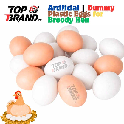 Artificial | Dummy Plastic Eggs for Broody Hen (Light Weight Egg Hollow from Inside)