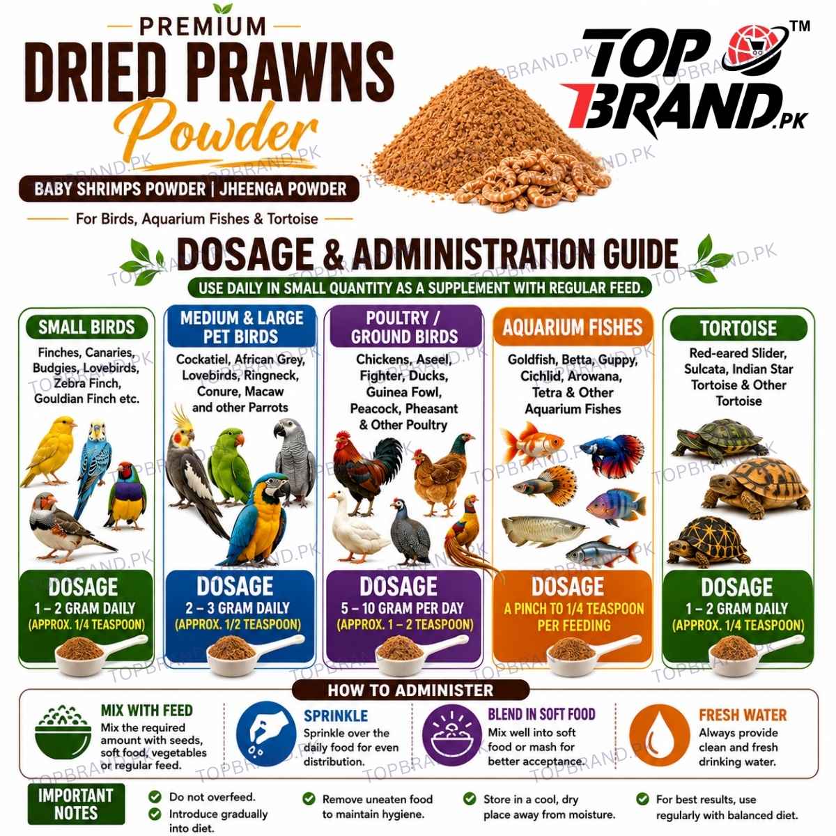 dry jheenga Powder for birds   jheenga powder fish food 
jheenga powder for birds baby prawns powder for aquarium fish 
dried prawns powder for aquarium fish dried prawns powder for birds
dry prawns powder  high protein dried prawns  baby shrimps dried baby shrimps powder  for birds 
dried shrimp fish food dry shrimps dried prawns powder for birds
baby shrimps powder
jheenga powder for birds
dried shrimp powder for fish
natural shrimp powder feed
premium dried prawns powder
baby shrimp feed for birds
dried 