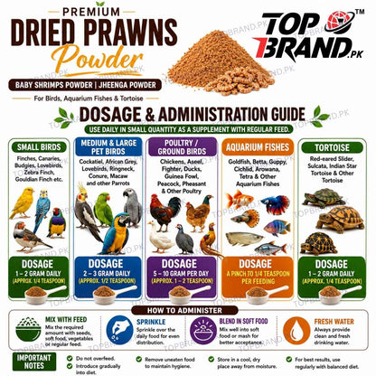 dry jheenga Powder for birds   jheenga powder fish food 
jheenga powder for birds baby prawns powder for aquarium fish 
dried prawns powder for aquarium fish dried prawns powder for birds
dry prawns powder  high protein dried prawns  baby shrimps dried baby shrimps powder  for birds 
dried shrimp fish food dry shrimps dried prawns powder for birds
baby shrimps powder
jheenga powder for birds
dried shrimp powder for fish
natural shrimp powder feed
premium dried prawns powder
baby shrimp feed for birds
dried 