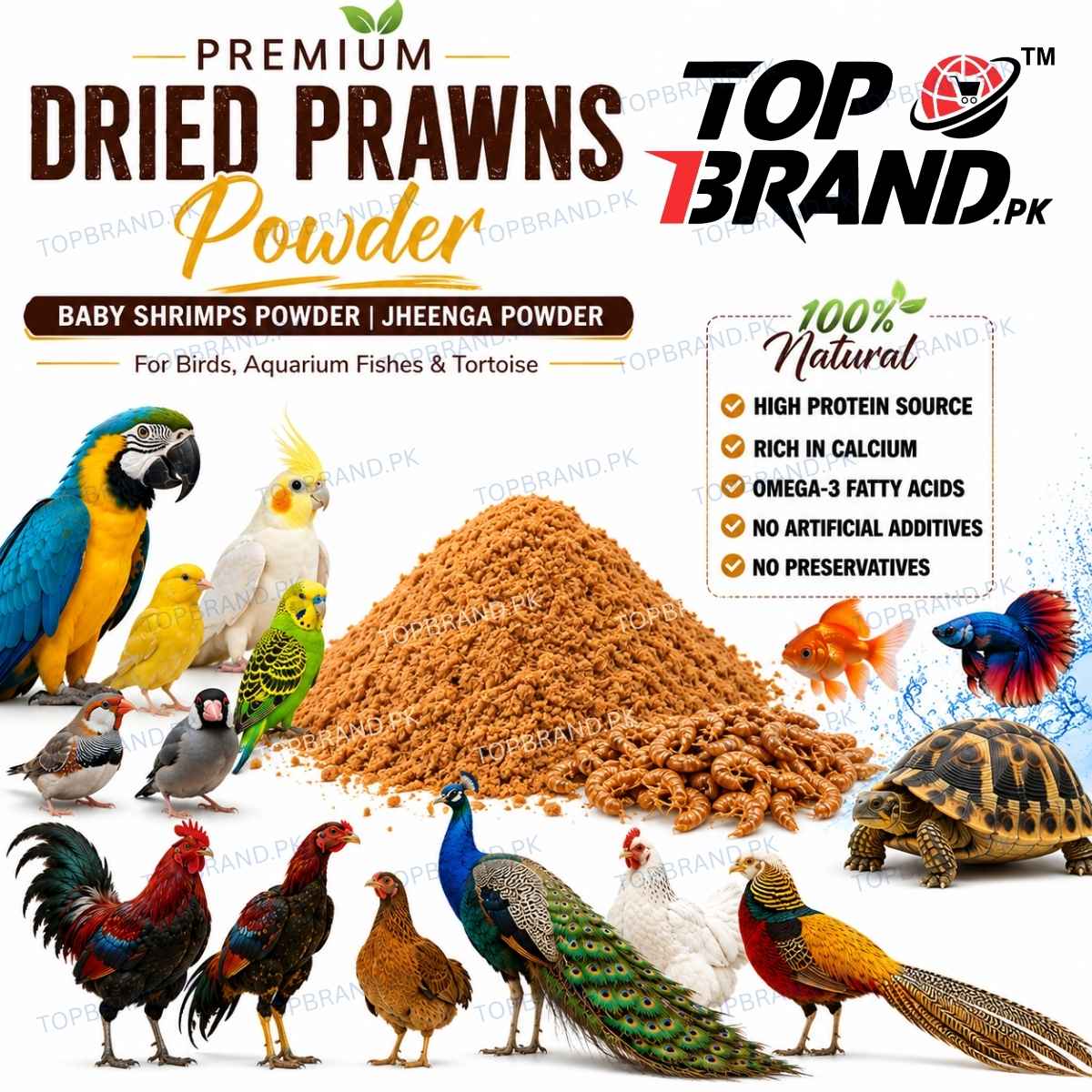 dry jheenga Powder for birds   jheenga powder fish food 
jheenga powder for birds baby prawns powder for aquarium fish 
dried prawns powder for aquarium fish dried prawns powder for birds
dry prawns powder  high protein dried prawns  baby shrimps dried baby shrimps powder  for birds 
dried shrimp fish food dry shrimps dried prawns powder for birds
baby shrimps powder
jheenga powder for birds
dried shrimp powder for fish
natural shrimp powder feed
premium dried prawns powder
baby shrimp feed for birds
dried 