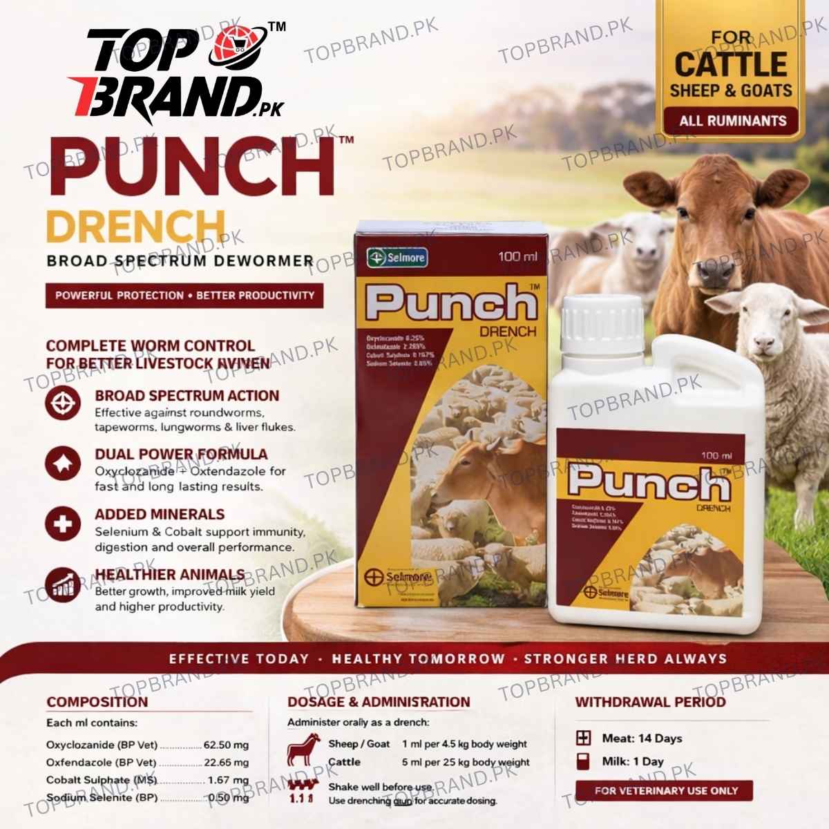 Punch Drench 100ml

livestock dewormer Pakistan

cattle deworming medicine

sheep goat worm treatment

veterinary dewormer liquid

Oxfendazole Oxyclozanide drench

liver fluke treatment animals

farm animal parasite control

best dewormer for cattle

Selmore Punch Drench

Punch Dewormer