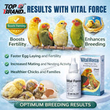 Vital Force 25ml