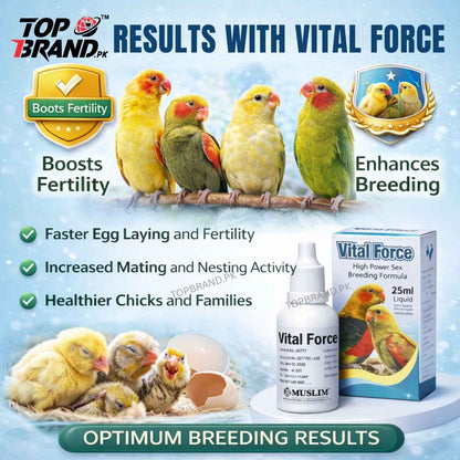 Vital Force 25ml