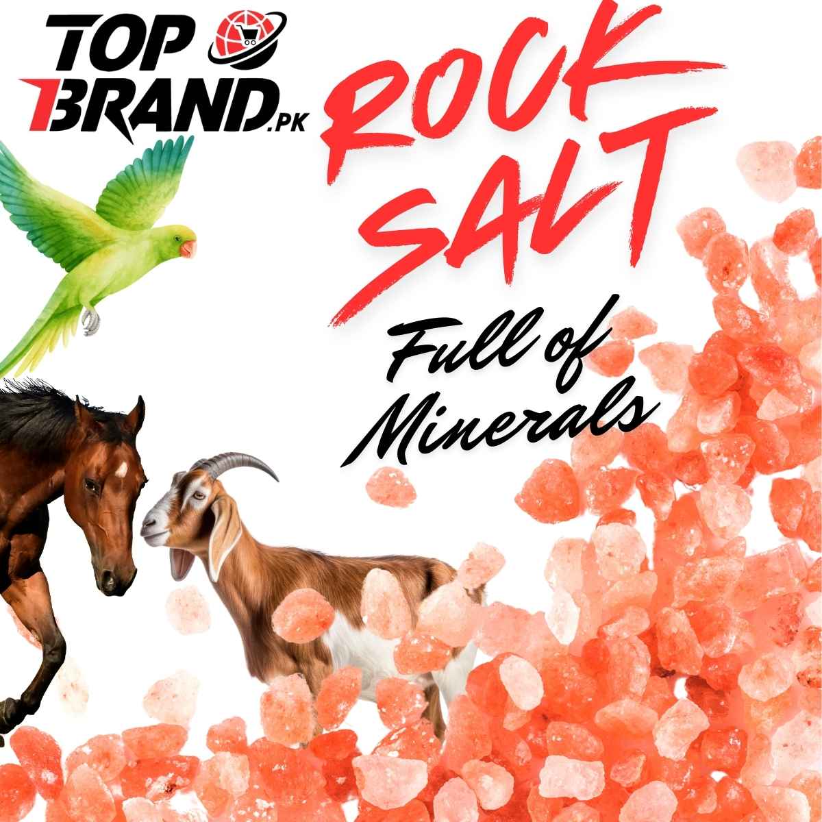 Pink Rock Salt for Birds & Animals – 100% Organic & Enriched with Minerals