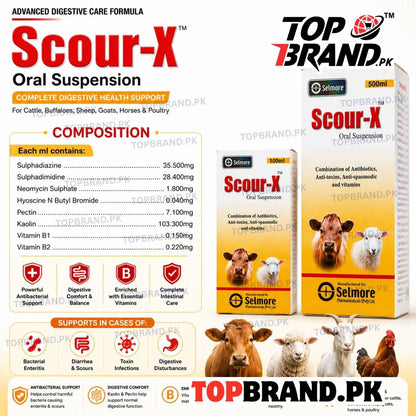 Scour-X