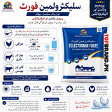 Selectromin Forte – Vitamin & Electrolyte 250g