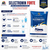 Selectromin Forte – Vitamin & Electrolyte 250g