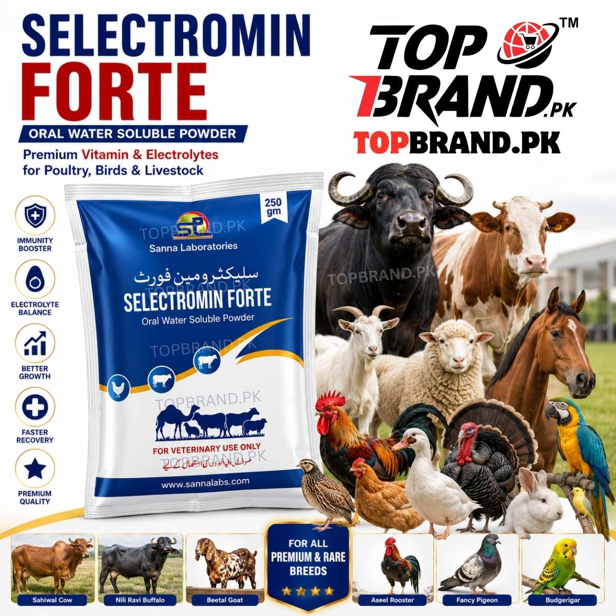 Selectromin Forte – Vitamin & Electrolyte 250g