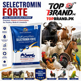 Selectromin Forte – Vitamin & Electrolyte 250g