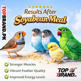 Soyabean Meal