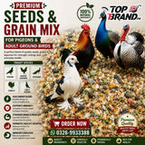 Premium Seeds & Grain Mix – Pigeon, Chicken and Ground Bird Feed